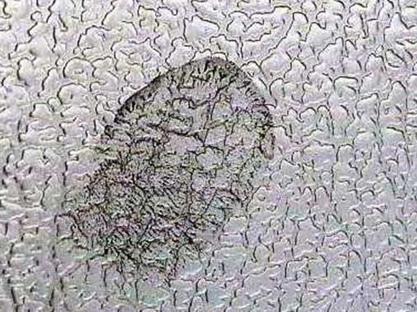 INOX-TEC - Fingerabdruck auf Dessin Ledernarben, unbehandelt