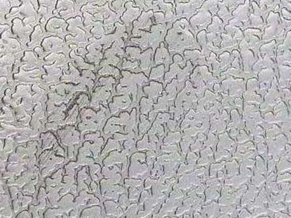 INOX-TEC Fingerabdruck auf Dessin Ledernarben, INOX-TEC® behandelt