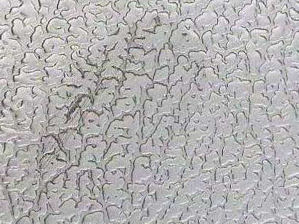 INOX-TEC Fingerabdruck auf Dessin Ledernarben, INOX-TEC® behandelt