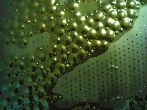 Unikatsproduktion grün